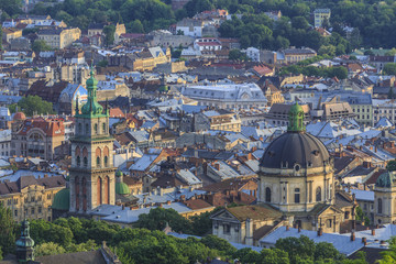Fototapeta na wymiar View of the city of Lviv from the High Castle Park at sunset