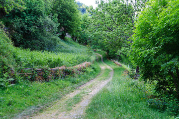 Fototapeta na wymiar Valle de Leitariegos, Asturias