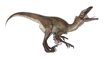 Dinosaur Utahraptor