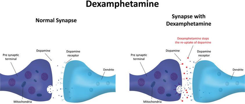 Dexamphetamine