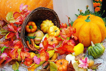 ハロウィン/Halloween