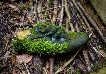 Naklejka premium natur schuh