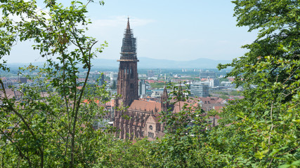 Fototapeta na wymiar Freiburger Münster