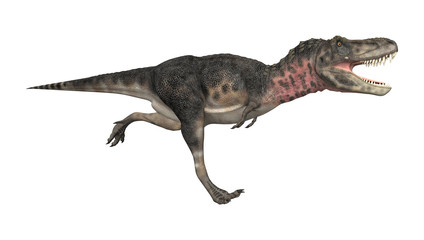 Naklejka premium Dinosaur Tarbosaurus