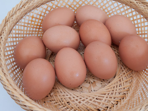 Egg in one basket