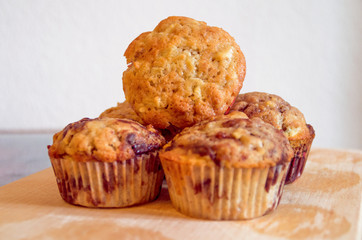 Muffin - Cupcake