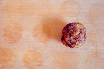 Muffin - Cupcake