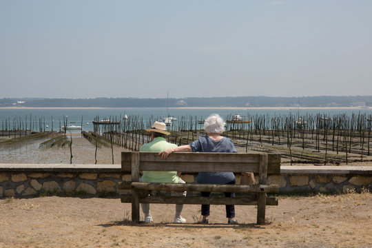 Couple sitting on the bench with their back to the camera