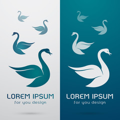 Fototapeta premium Vector image of an swan design on white background and blue back