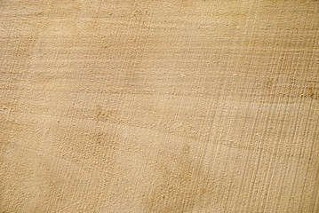 Texture of freshly sawn wood, background, closeup