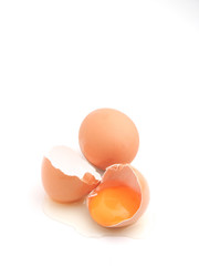 egg in white background