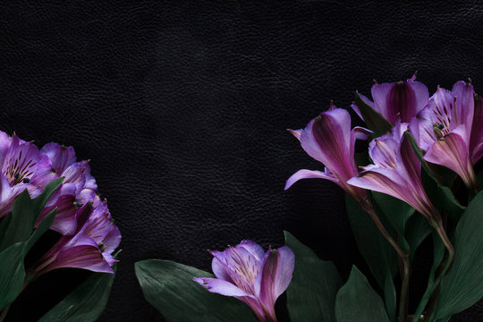 Fototapeta black background decorated with pink flowers