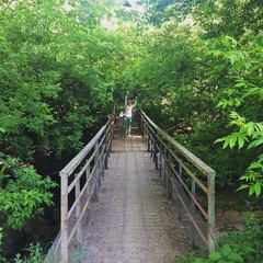 Obraz premium девушка и мост