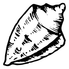 Sea shell monochrome vector isolated clip art