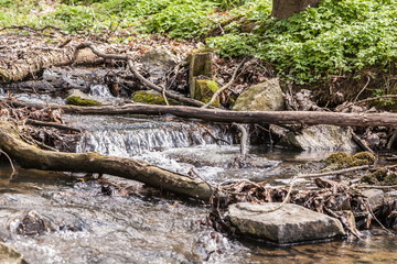 Naturbelassener Bachlauf