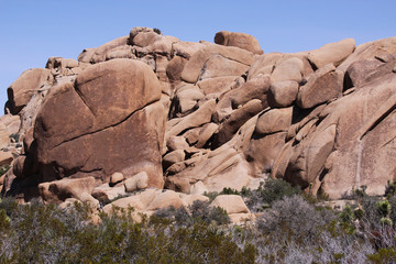 Joshua tree national park, california, united states