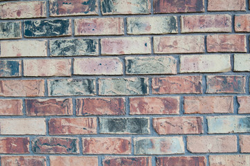 Fototapeta premium colorful brick wall texture