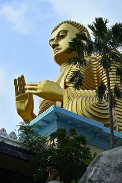 Budda Golden