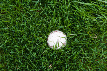 baseball in a field of lush green grass