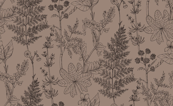 Seamless vector pattern of herbs and flowers