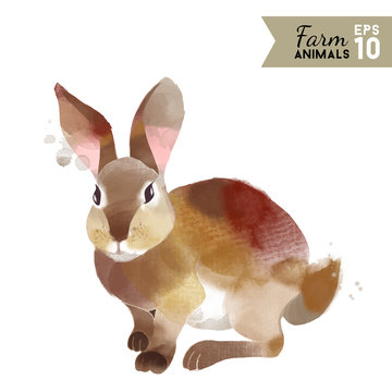 Farm animals. Watercolor vector illustration of rabbit