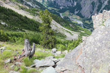 Fototapeta na wymiar Panorama del villaggio di Valnontey ,Cogne ,Valled'Aosta