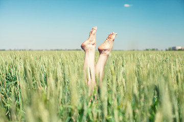 Feet in wheat