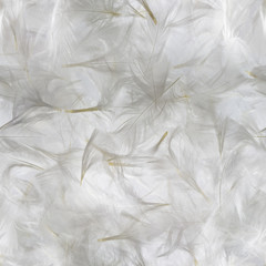 seamless, white feathers pattern, studio photographed with a grey background