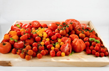 pomidory mix  © npls