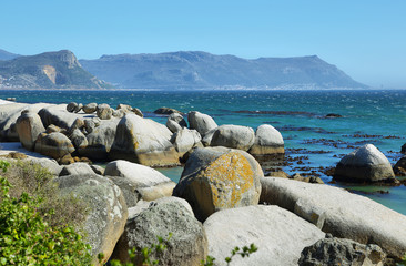 Boulders beach