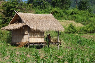 Fototapeta na wymiar Maison traditionnelle au Laos