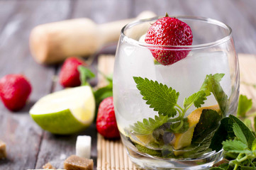 ingredients for a mojito cocktail