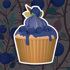 Blueberry design