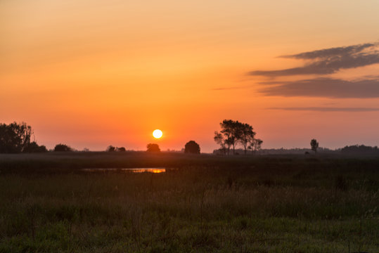 Sunset over the meadow