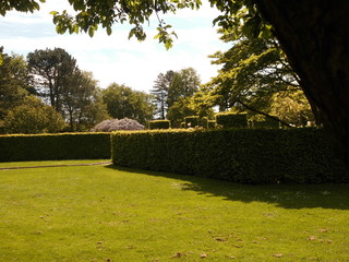 Park in the summer.Flowers and trees.Summer landscape