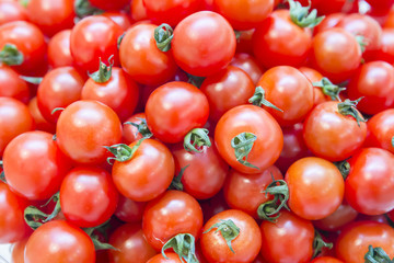 沢山のプチトマト
