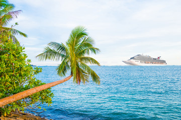 bright palm on sea background