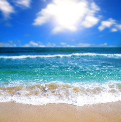 Fototapeta na wymiar stunning beach with sunny sky