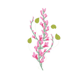 pink bouquet of Flowers watercolor