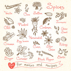 Set drawings of spices for design menus, recipes and packages - 84928921