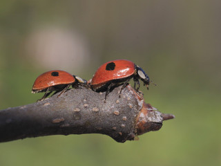 Очередь на взлёт.