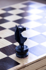 Chess - black horse 