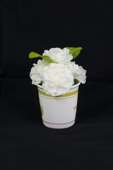 White roses in a vase