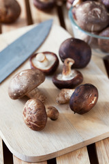 shitake mushroom prepare for cooking