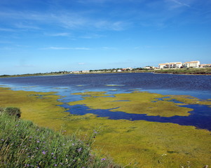 étang de vic la gardiole-hérault