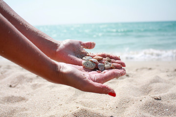 Fototapeta na wymiar seashells by the sea