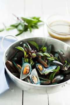 scald mussel with spicy seafood sauce
