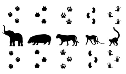 Vector set of walking jungle animal tracks