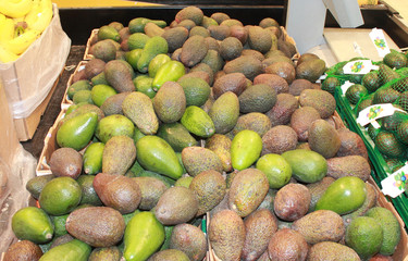 avocat