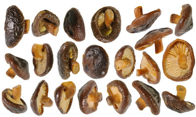 Fried shiitake mushrooms